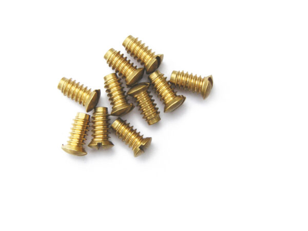 Throttle/Choke Plate Screws x 10